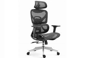 Ergonomski pisarniški stoli 